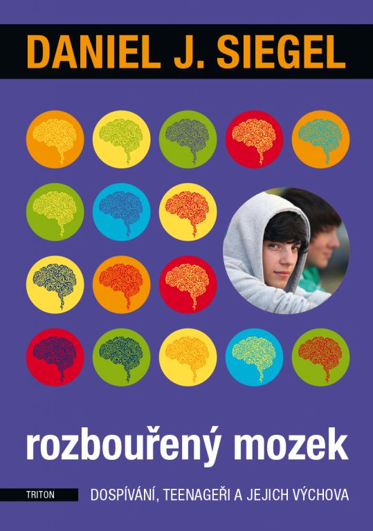 Rozbouřen&yacute; mozek